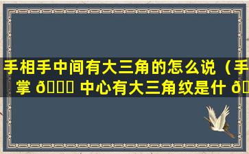 手相手中间有大三角的怎么说（手掌 🐘 中心有大三角纹是什 🦍 么意思）